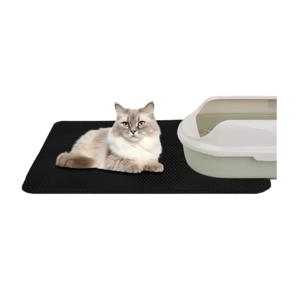 Eco Cat Litter Mat