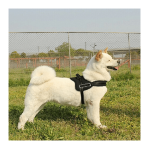 Adjustable Soft Dog Harness