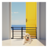 Retractable Pet & Baby Safety Gate