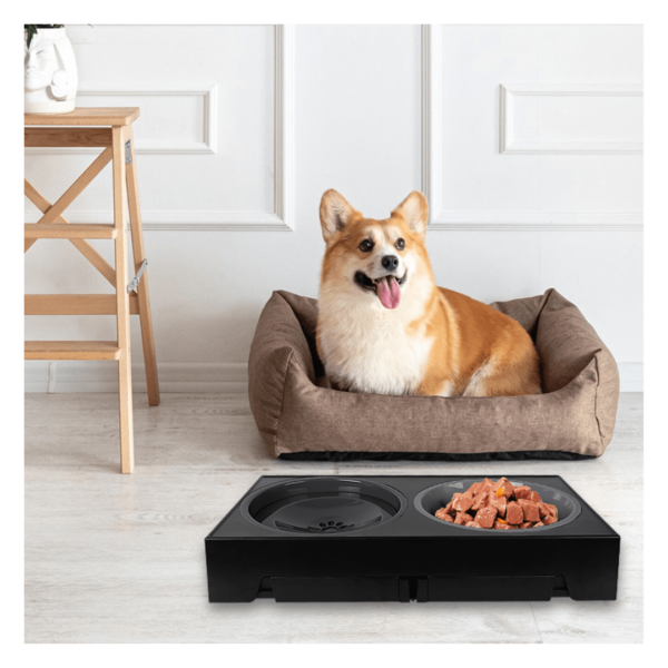 Ultimate 5-Level Dog Slow Feeder Bowl