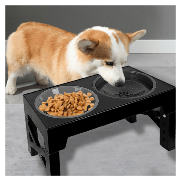 Ultimate 5-Level Dog Slow Feeder Bowl