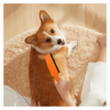 Ultimate Pet Hair Broom with Squeegee